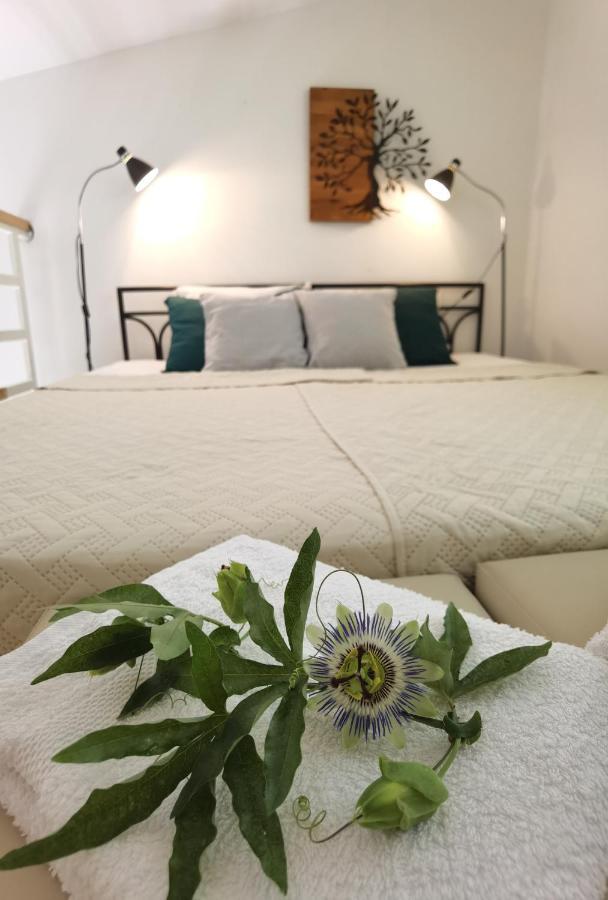 Apartment Zona 2 Zrenjanin